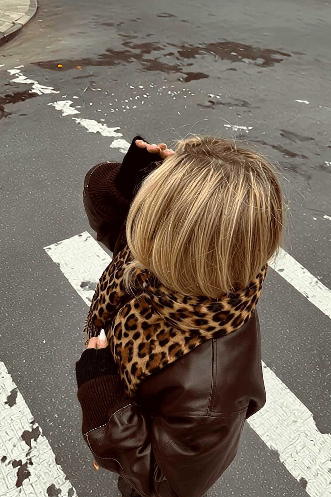 Marais leopard scarf photographed from overhead on a wet crosswalk, brown leather bomber and tousled blonde hair — Amavé.